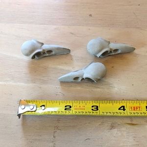 Handmade Cement Bird Skulls